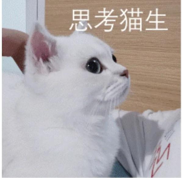 作绝育手术时得知,养了8个月的银渐层弟弟其实是妹妹?铲屎官怒了!法院这样判 作绝育手术时得知,养了8个月的银渐层弟弟其实是妹妹?铲屎官怒了!法院这样判